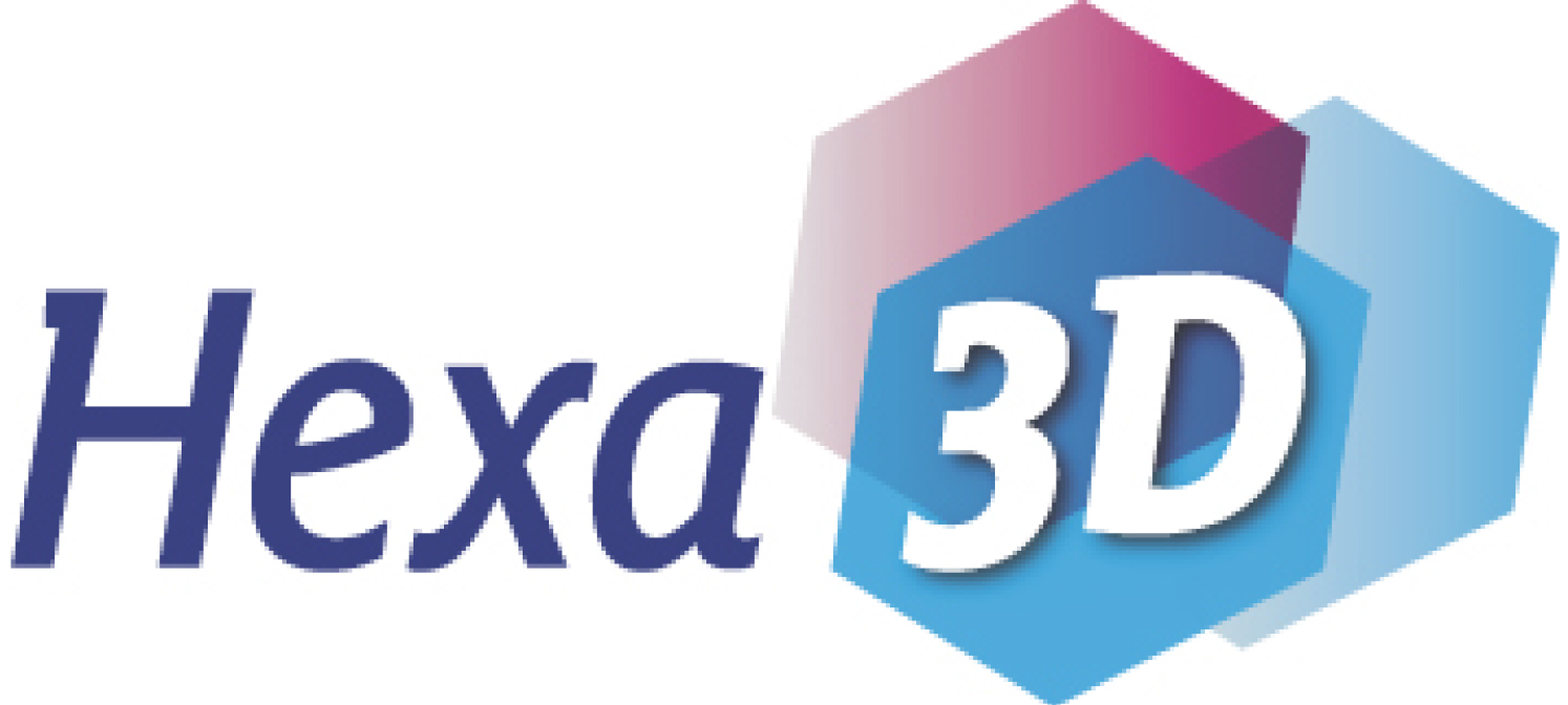 Hexa3D-axeambitions-coaching-grenoble-chambery-isere